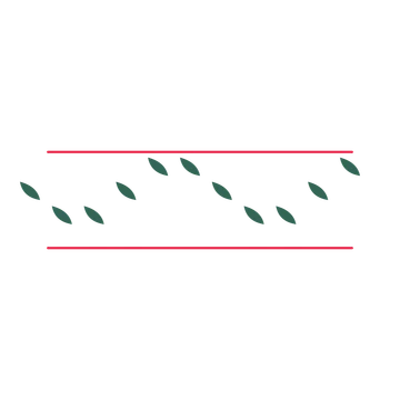 A decorative divider with 11 leaf motifs arranged in a wave, between two fine horizontal rules.