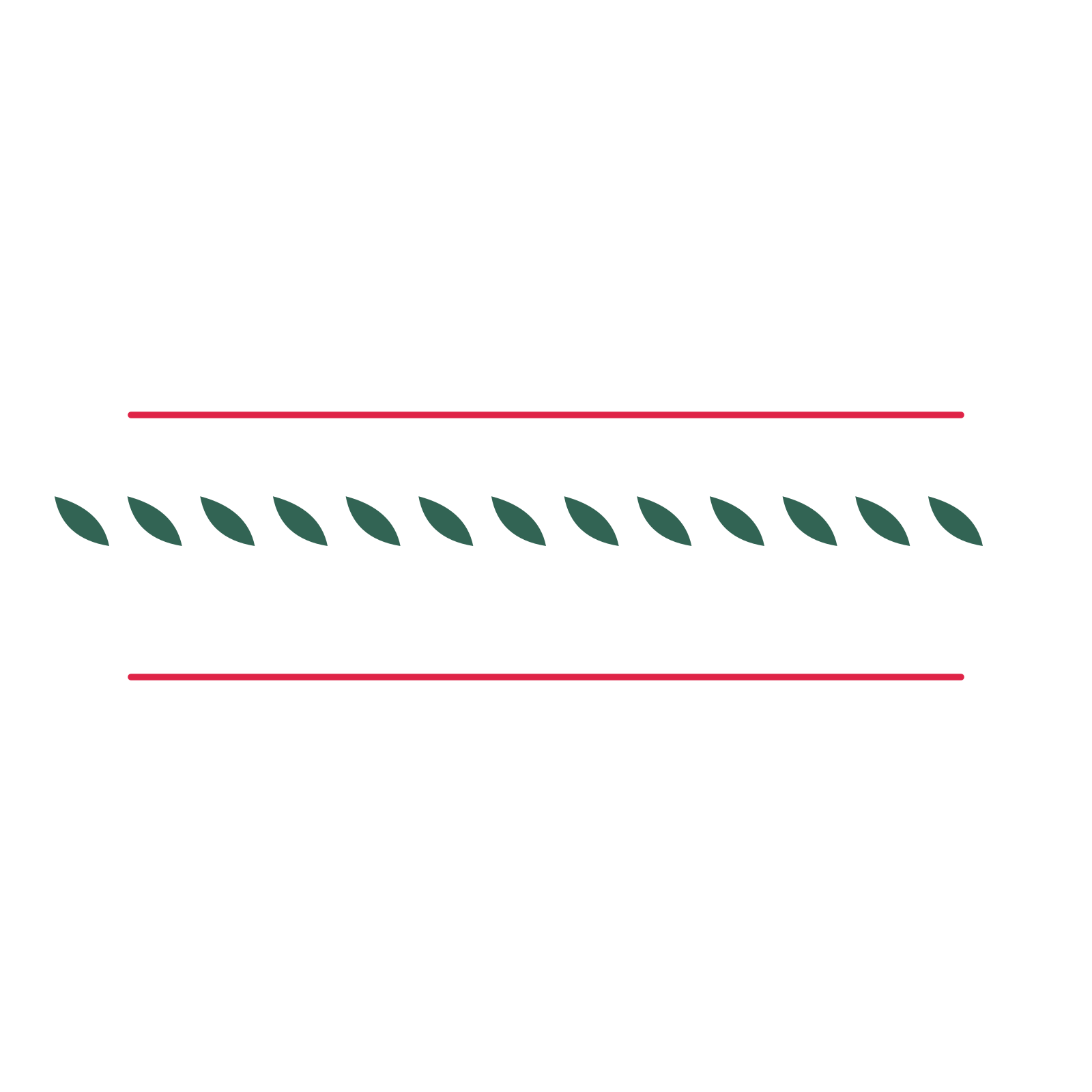 A decorative divider with 13 leaf motifs arranged in a line, between two fine horizontal rules.