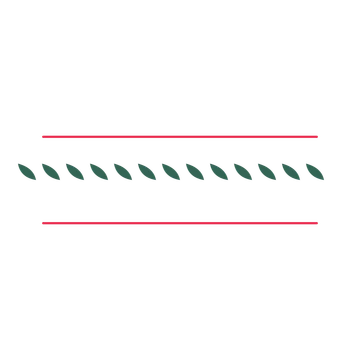 A decorative divider with 13 leaf motifs arranged in a line, between two fine horizontal rules.