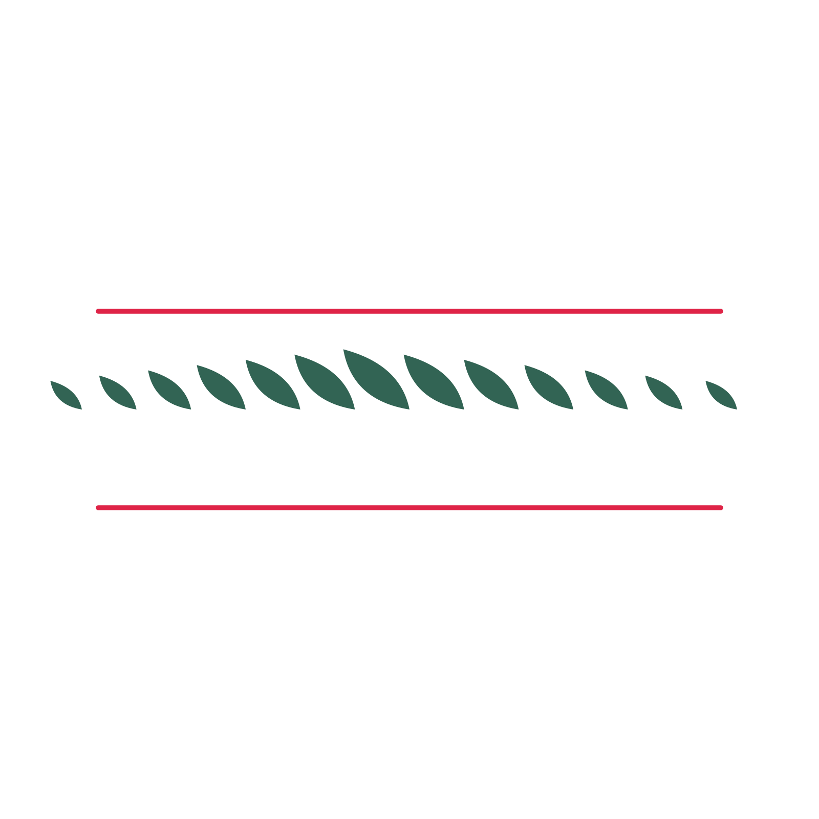A decorative divider with 13 leaf motifs arranged in a tapered, between two fine horizontal rules.