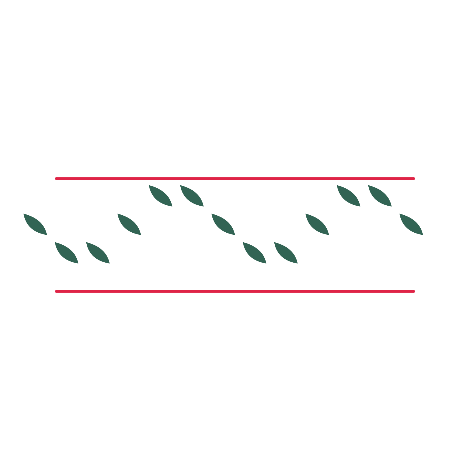 A decorative divider with 13 leaf motifs arranged in a wave, between two fine horizontal rules.