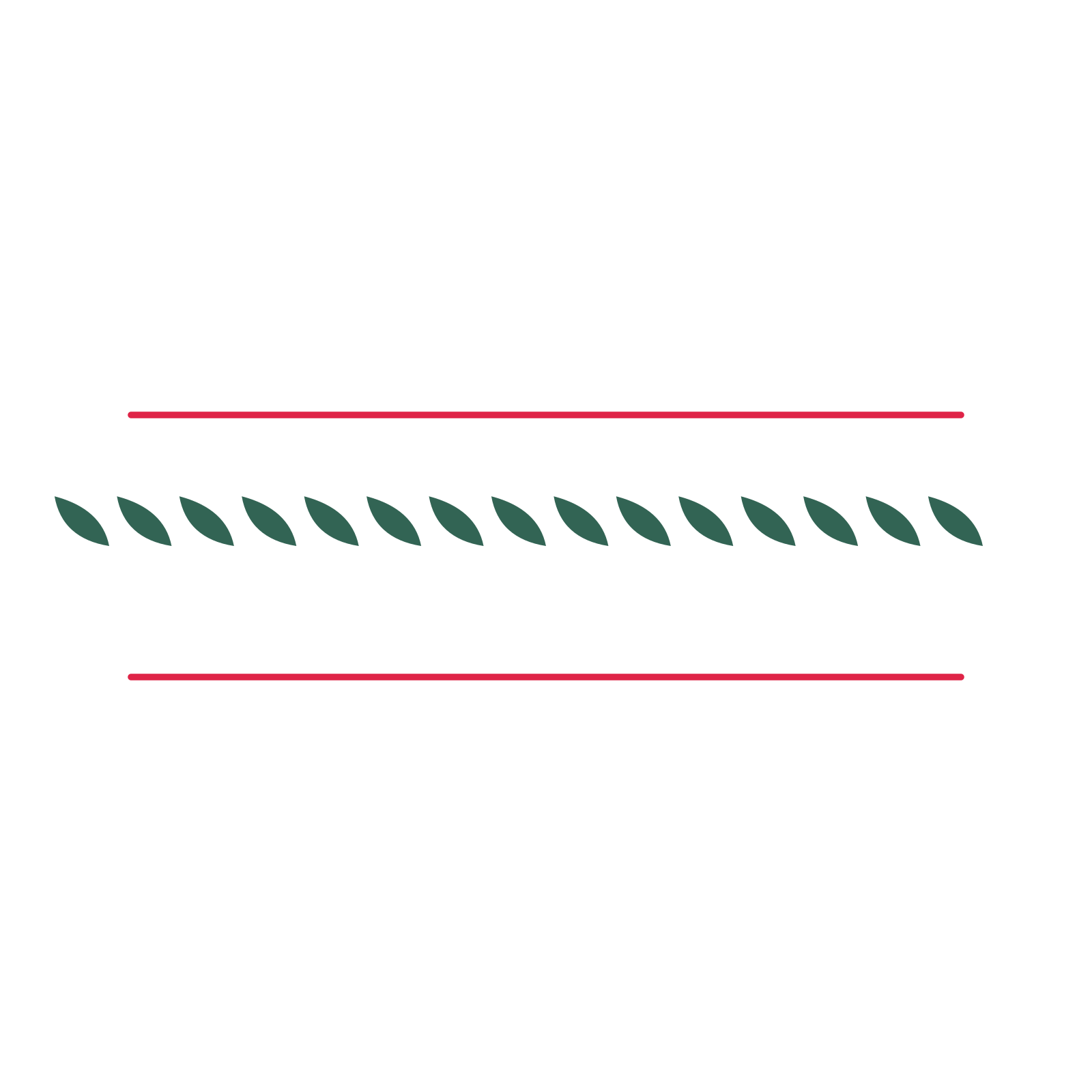 A decorative divider with 15 leaf motifs arranged in a line, between two fine horizontal rules.