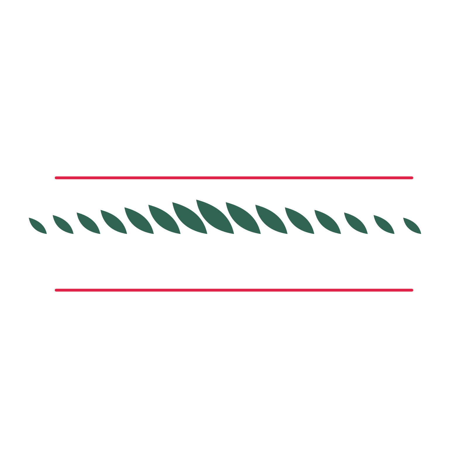A decorative divider with 15 leaf motifs arranged in a tapered, between two fine horizontal rules.