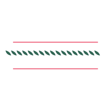 A decorative divider with 17 leaf motifs arranged in a line, between two fine horizontal rules.