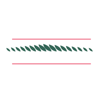 A decorative divider with 17 leaf motifs arranged in a tapered, between two fine horizontal rules.