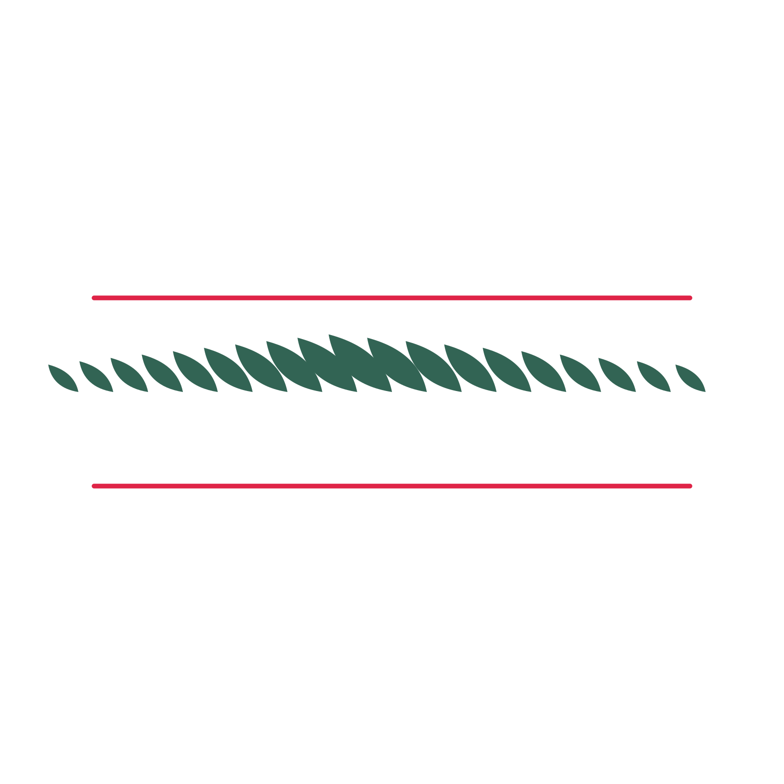 A decorative divider with 19 leaf motifs arranged in a tapered, between two fine horizontal rules.