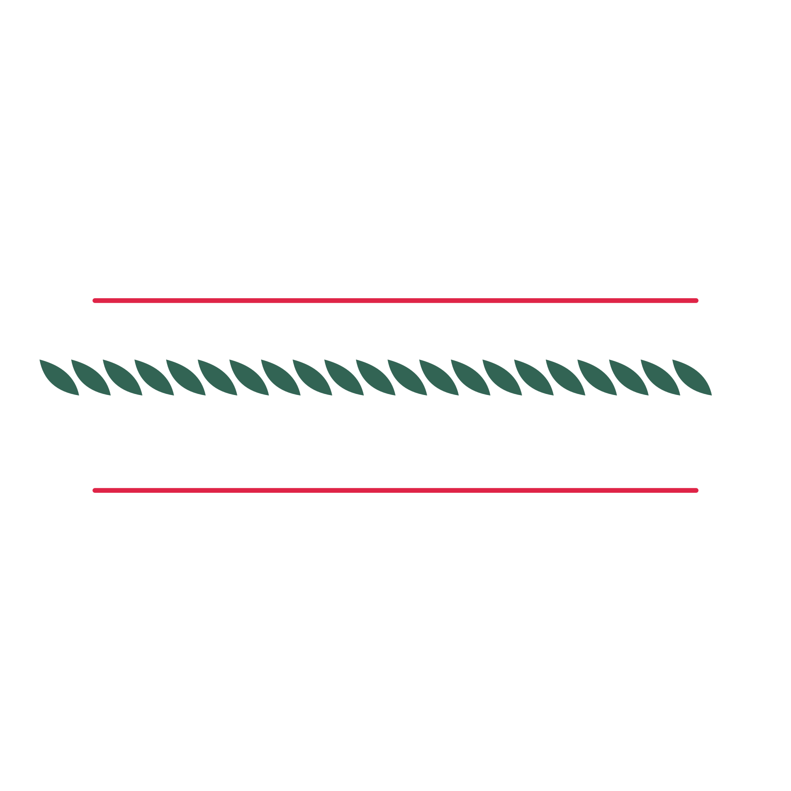 A decorative divider with 21 leaf motifs arranged in a line, between two fine horizontal rules.