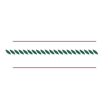 A decorative divider with 21 leaf motifs arranged in a line, between two fine horizontal rules.