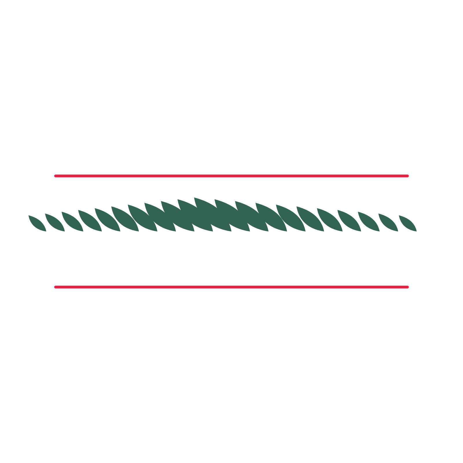 A decorative divider with 21 leaf motifs arranged in a tapered, between two fine horizontal rules.