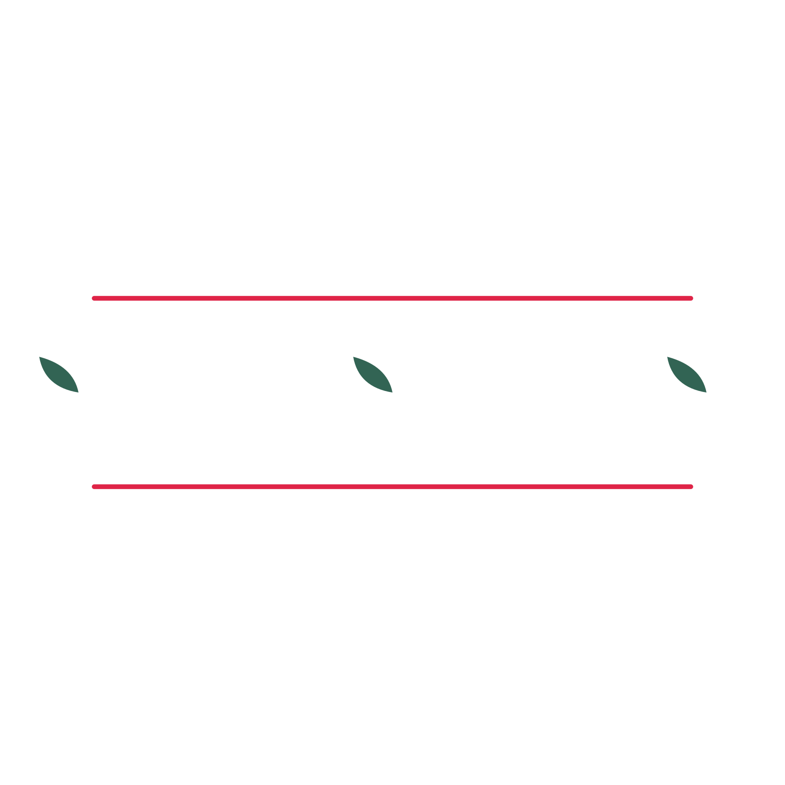 A decorative divider with 3 leaf motifs arranged in a line, between two fine horizontal rules.