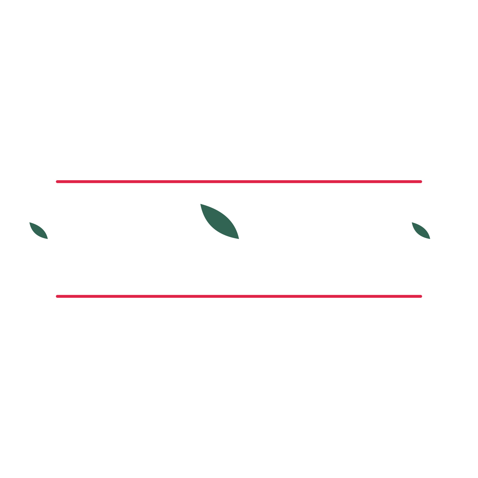 A decorative divider with 3 leaf motifs arranged in a tapered, between two fine horizontal rules.