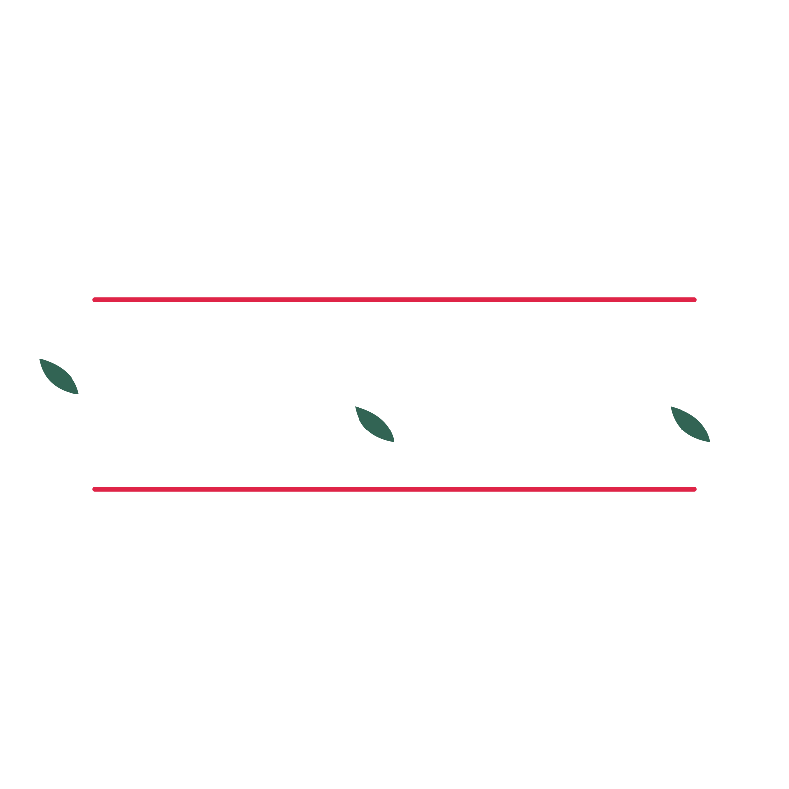 A decorative divider with 3 leaf motifs arranged in a wave, between two fine horizontal rules.