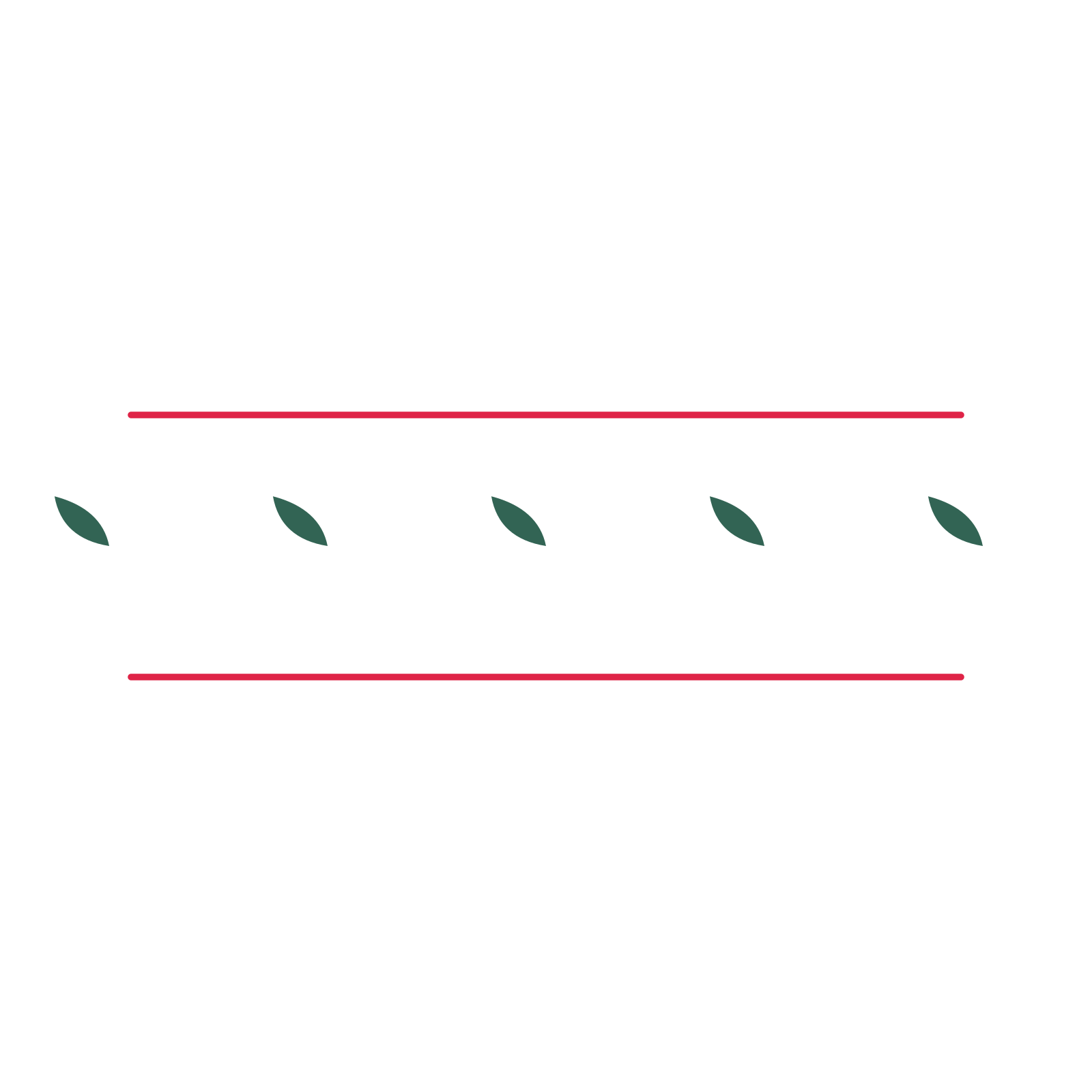 A decorative divider with 5 leaf motifs arranged in a line, between two fine horizontal rules.