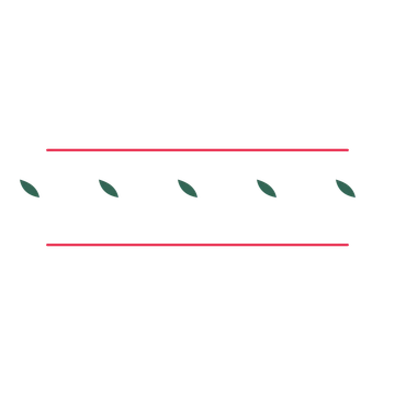 A decorative divider with 5 leaf motifs arranged in a line, between two fine horizontal rules.