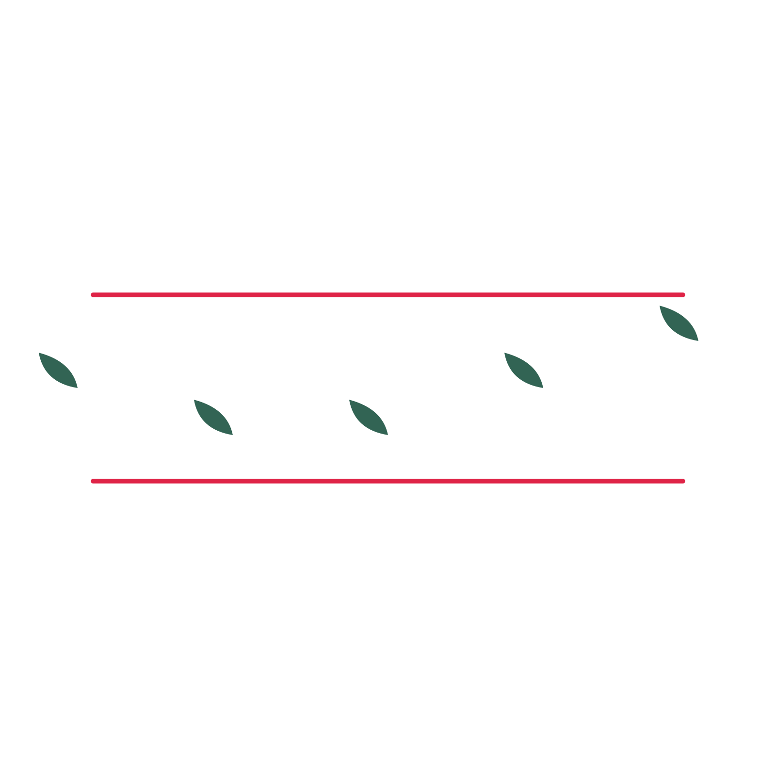 A decorative divider with 5 leaf motifs arranged in a wave, between two fine horizontal rules.