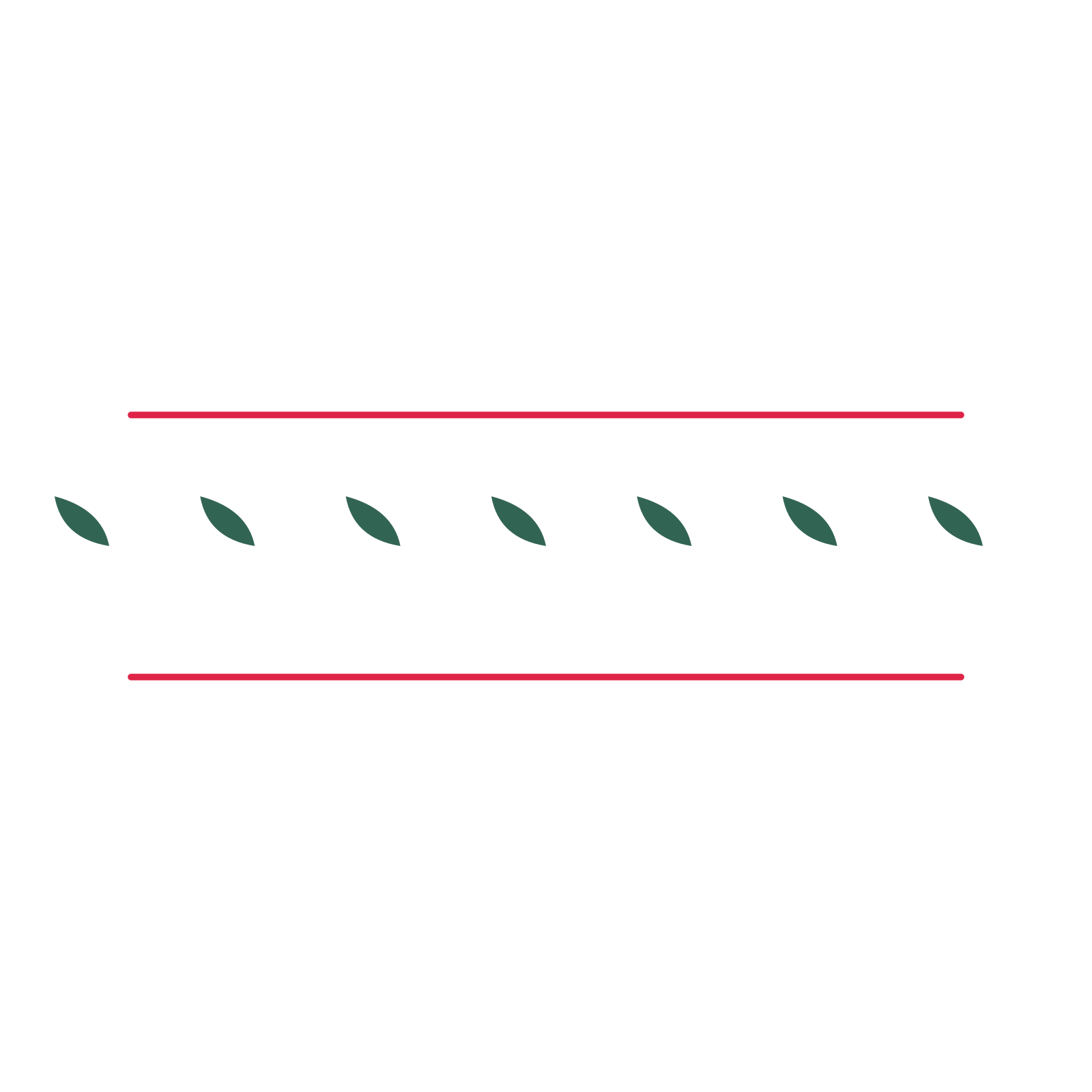 A decorative divider with 7 leaf motifs arranged in a line, between two fine horizontal rules.