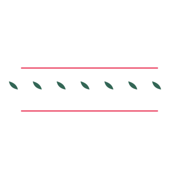 A decorative divider with 7 leaf motifs arranged in a line, between two fine horizontal rules.