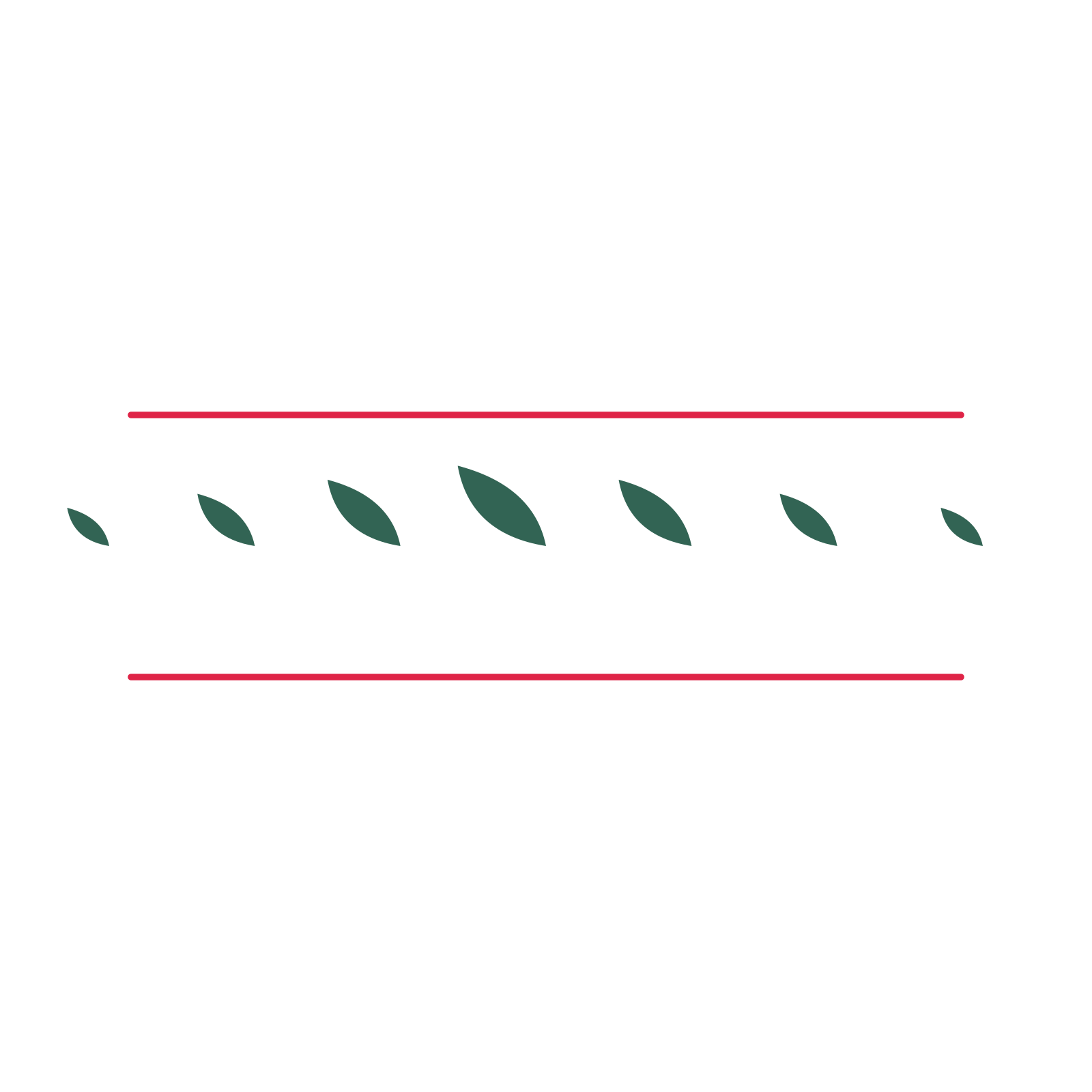 A decorative divider with 7 leaf motifs arranged in a tapered, between two fine horizontal rules.