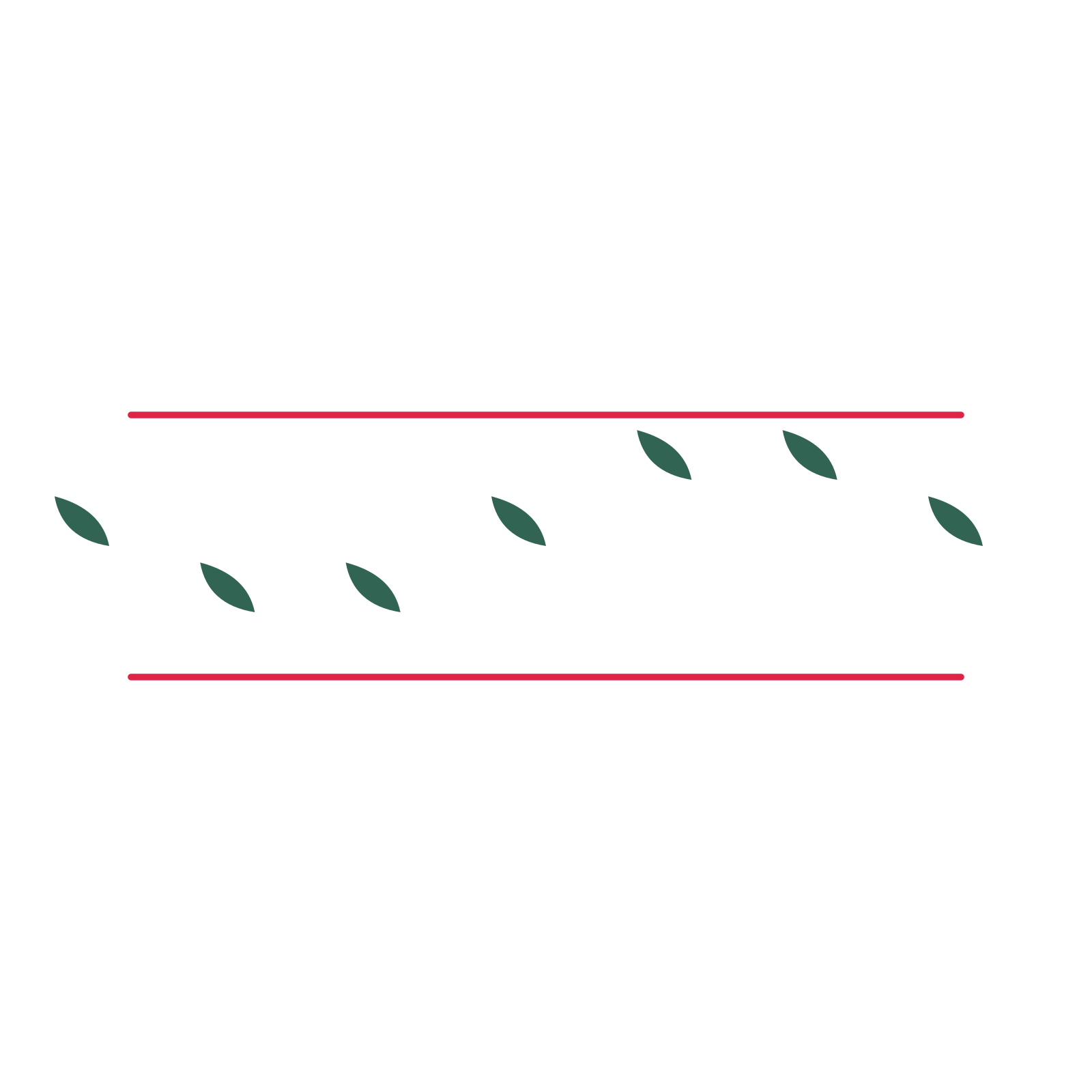 A decorative divider with 7 leaf motifs arranged in a wave, between two fine horizontal rules.