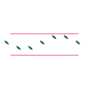 A decorative divider with 7 leaf motifs arranged in a wave, between two fine horizontal rules.
