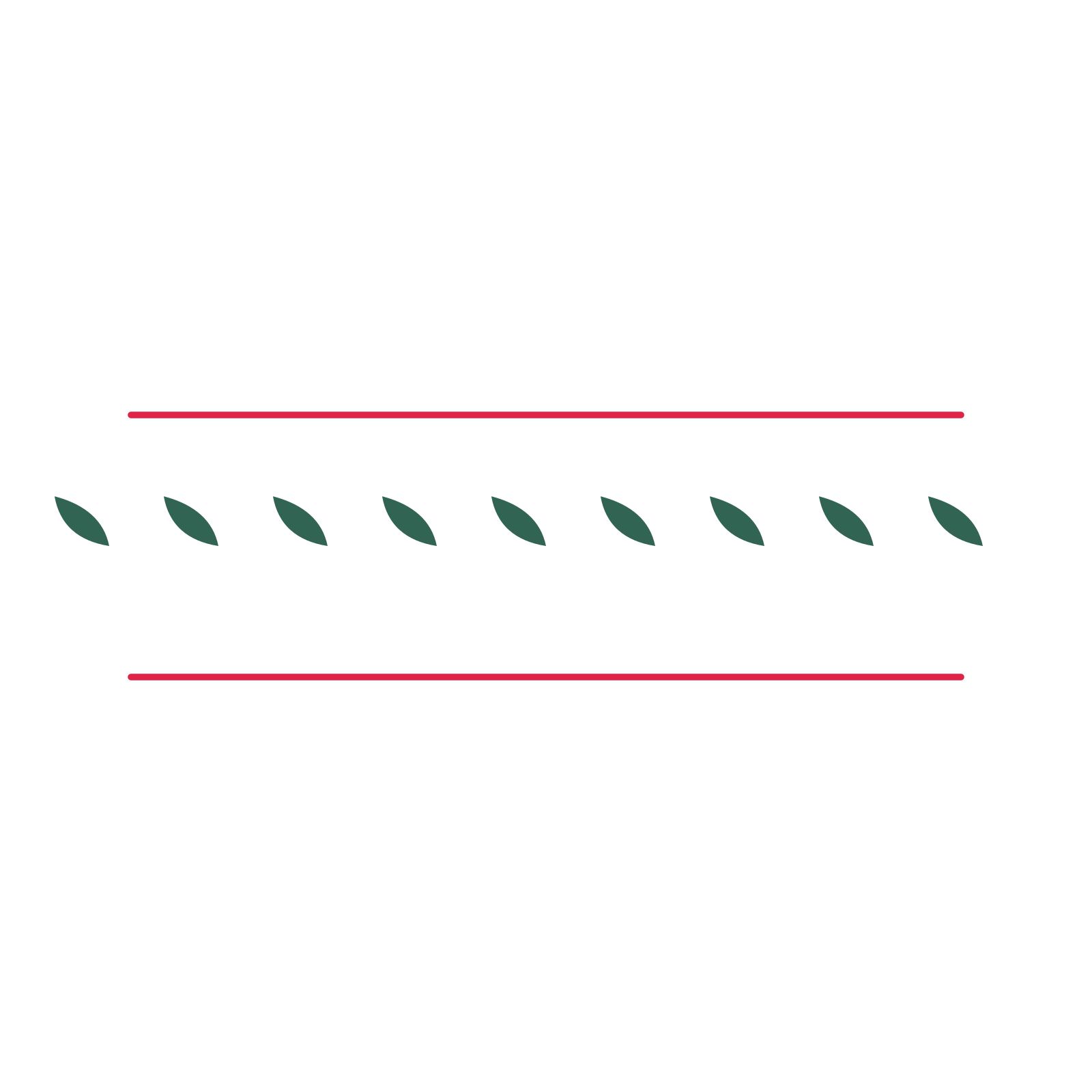 A decorative divider with 9 leaf motifs arranged in a line, between two fine horizontal rules.