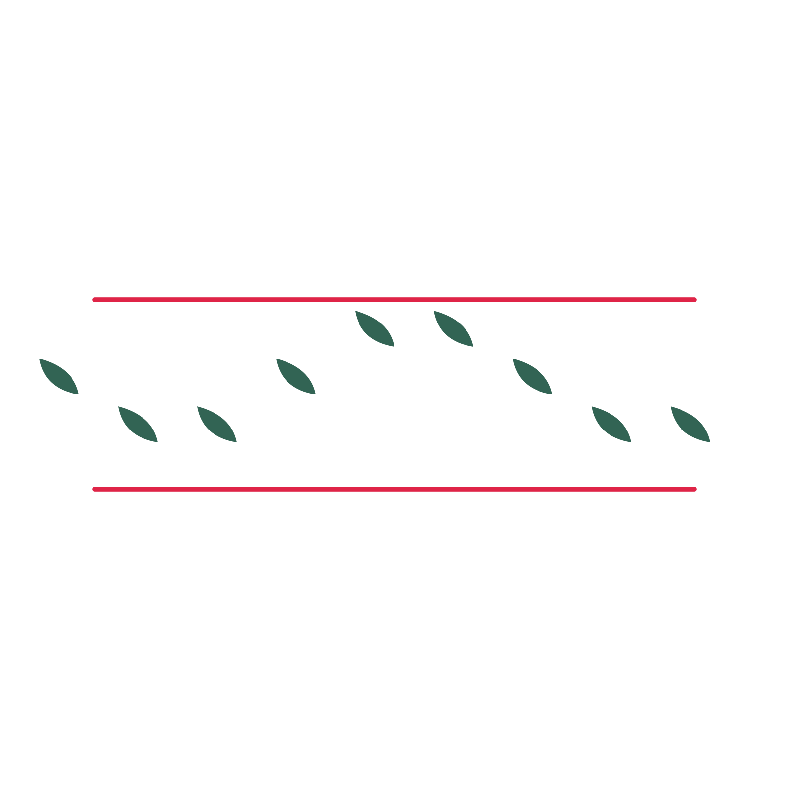 A decorative divider with 9 leaf motifs arranged in a wave, between two fine horizontal rules.