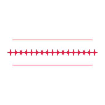 A decorative divider with 17 sparkle motifs arranged in a line, between two fine horizontal rules.