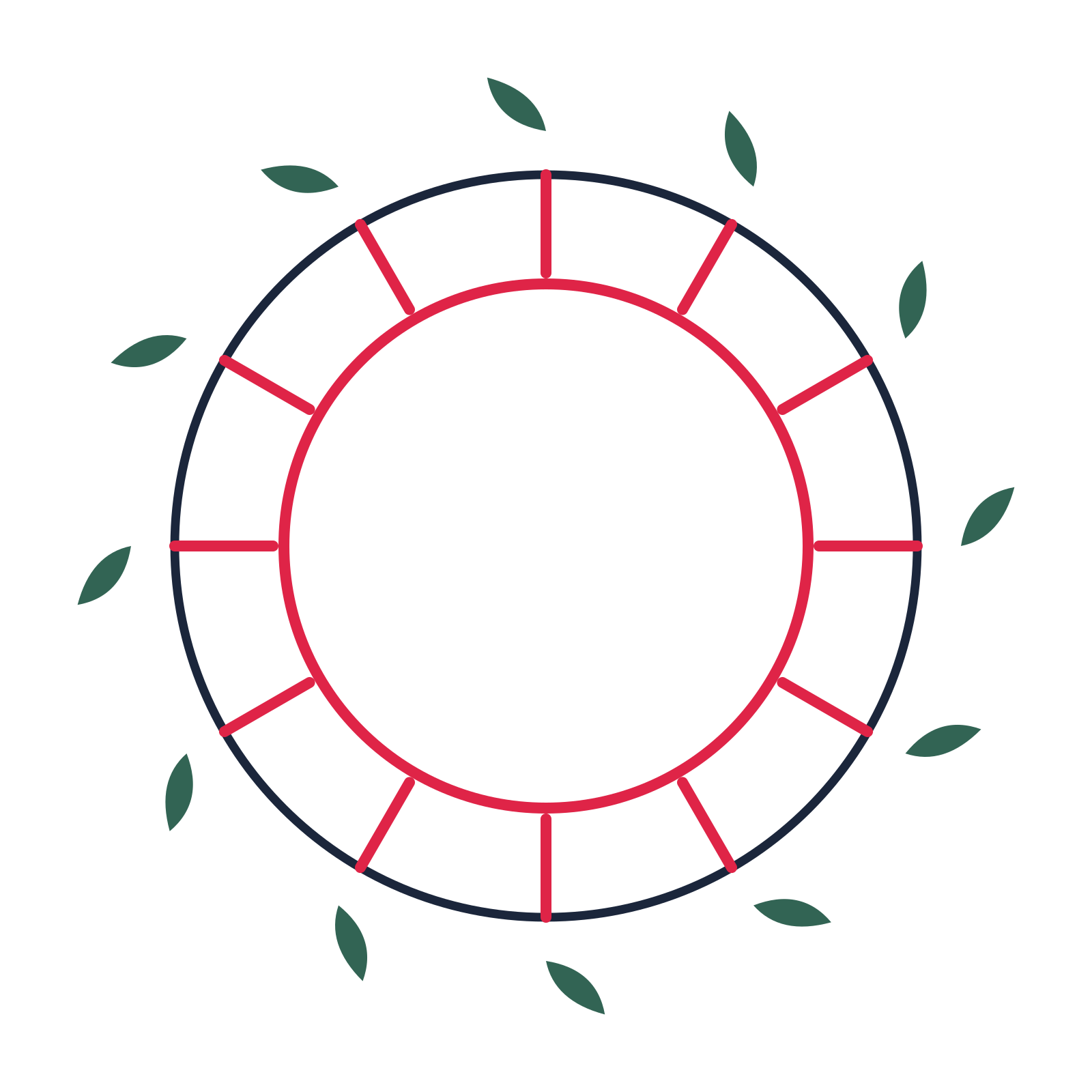 A circular emblem with 12 leaf motifs, fine concentric rings and a spokes structure.