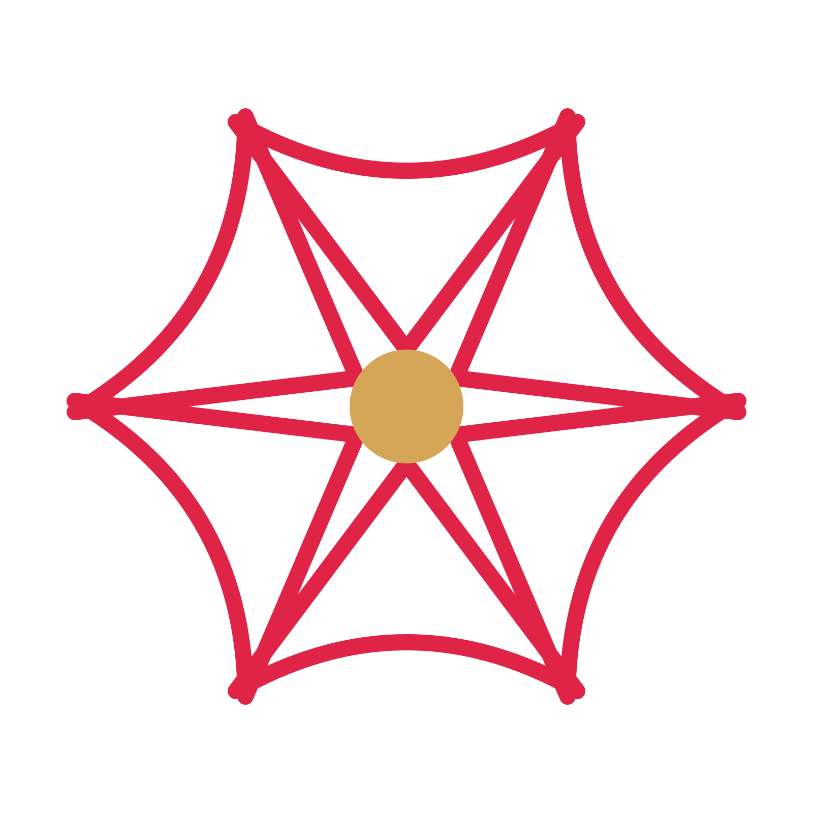 A 6-petal bell flower with a seed centre and a transparent background.