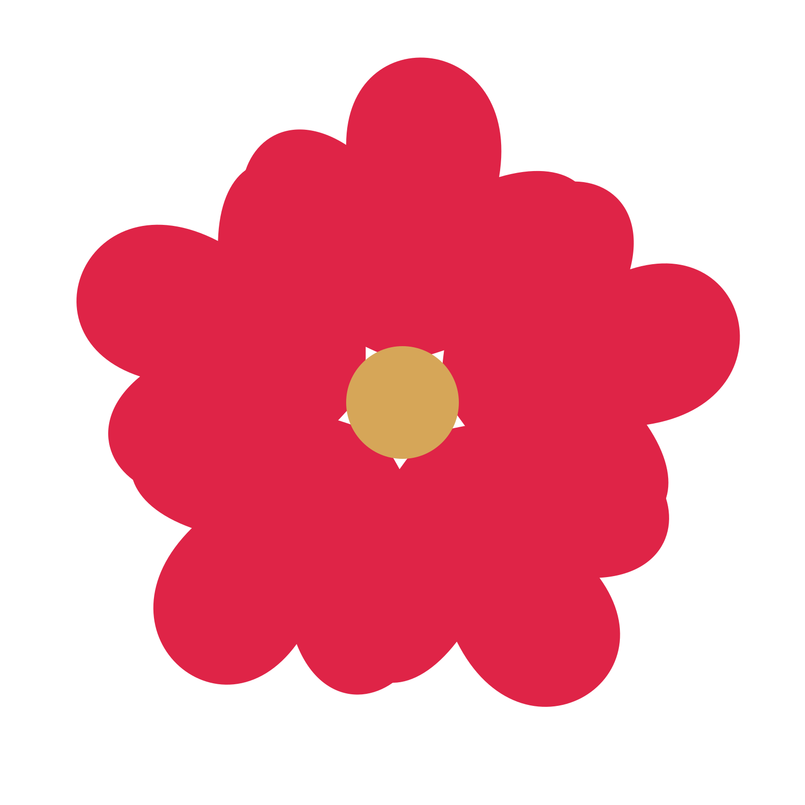 A 5-petal clover flower with a seed centre and a transparent background.
