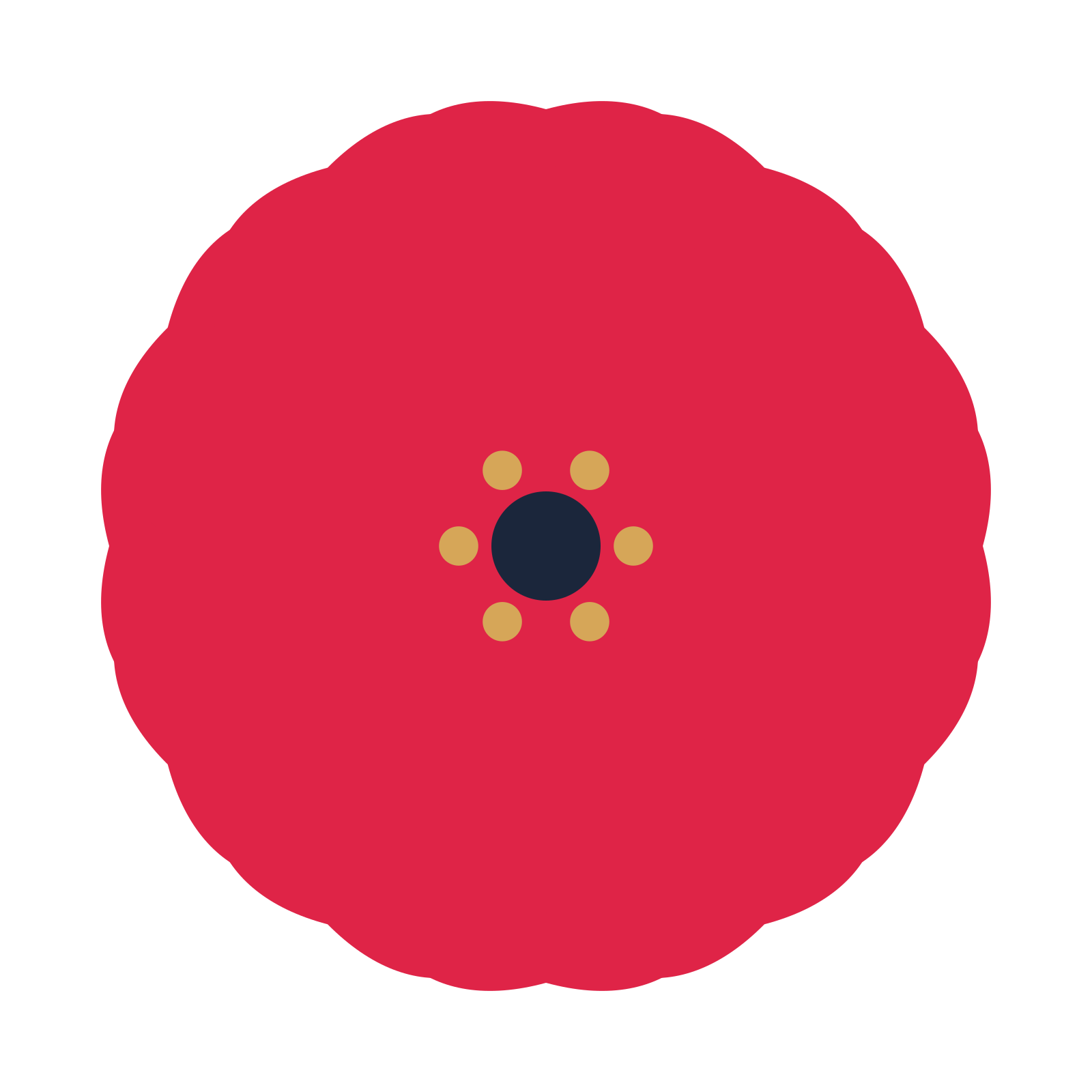 A 12-petal cosmos flower with a stamen centre and a transparent background.