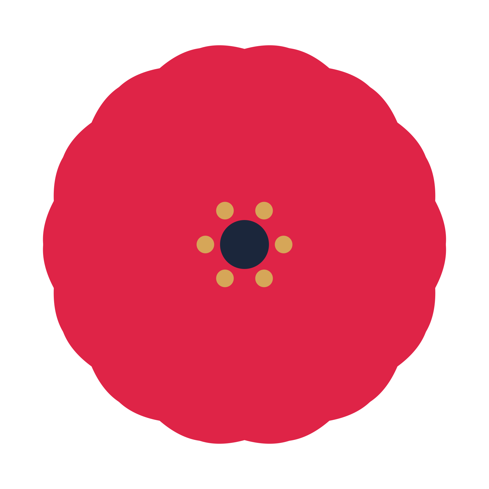 A 14-petal cosmos flower with a stamen centre and a transparent background.