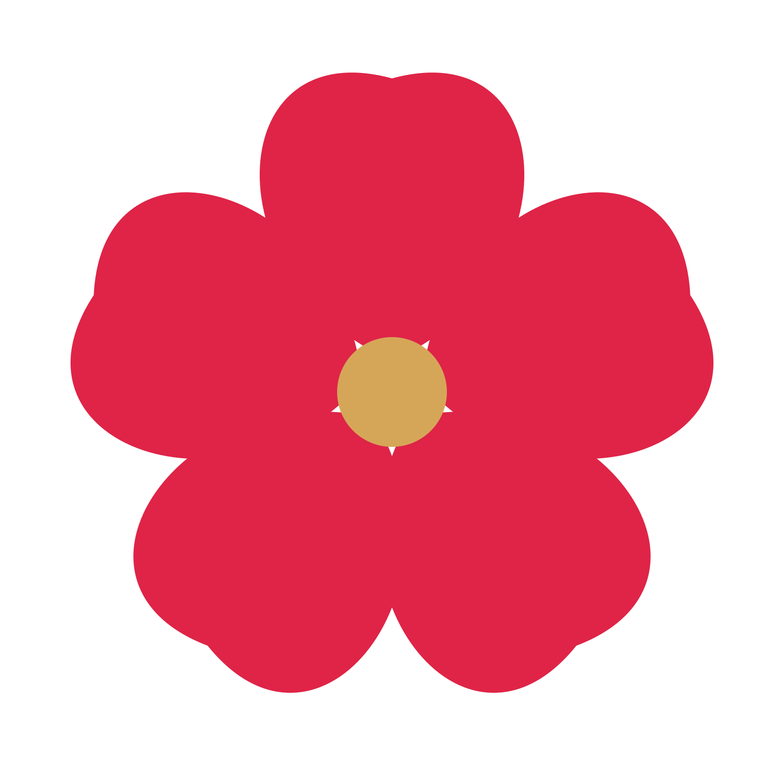 A 5-petal cosmos flower with a seed centre and a transparent background.
