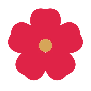 A 5-petal cosmos flower with a seed centre and a transparent background.