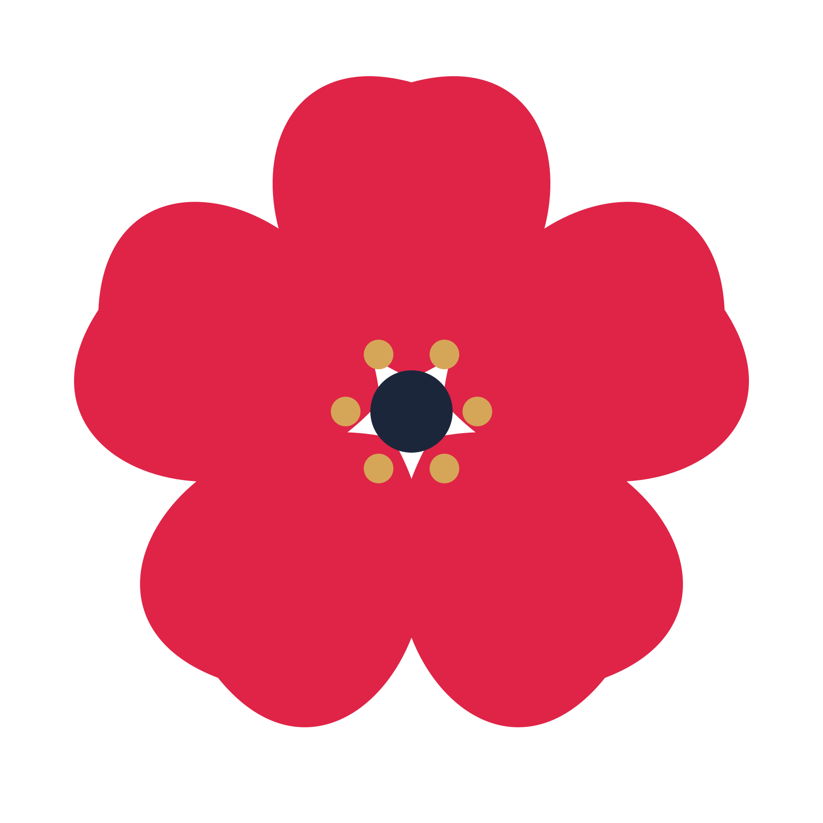 A 5-petal cosmos flower with a stamen centre and a transparent background.