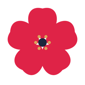 A 5-petal cosmos flower with a stamen centre and a transparent background.
