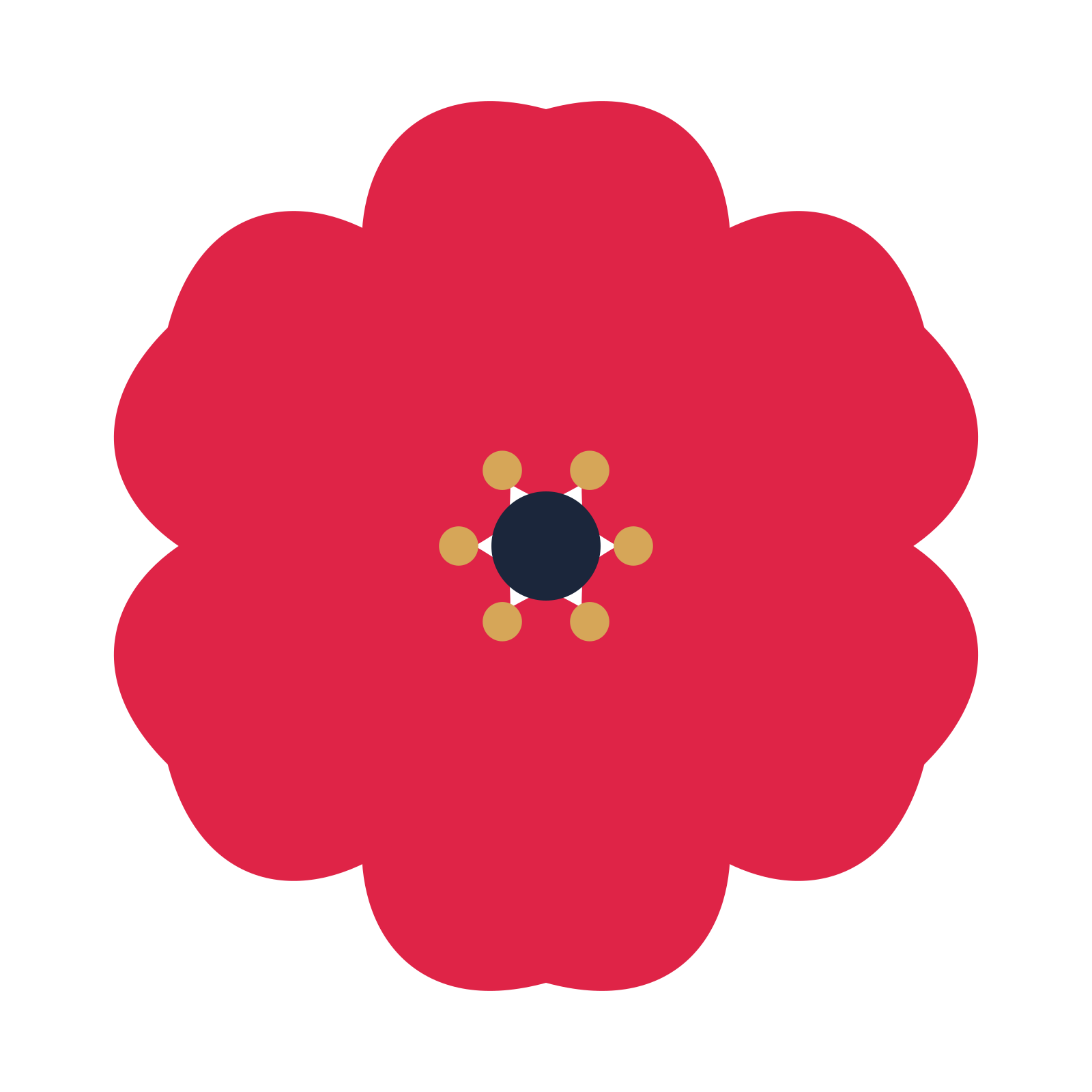 A 6-petal cosmos flower with a stamen centre and a transparent background.