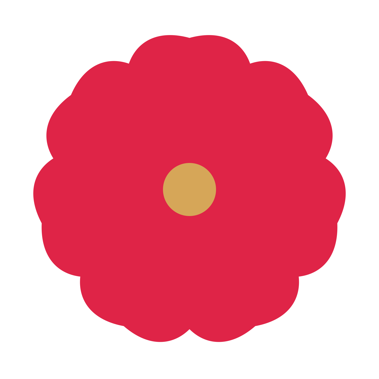 A 7-petal cosmos flower with a seed centre and a transparent background.