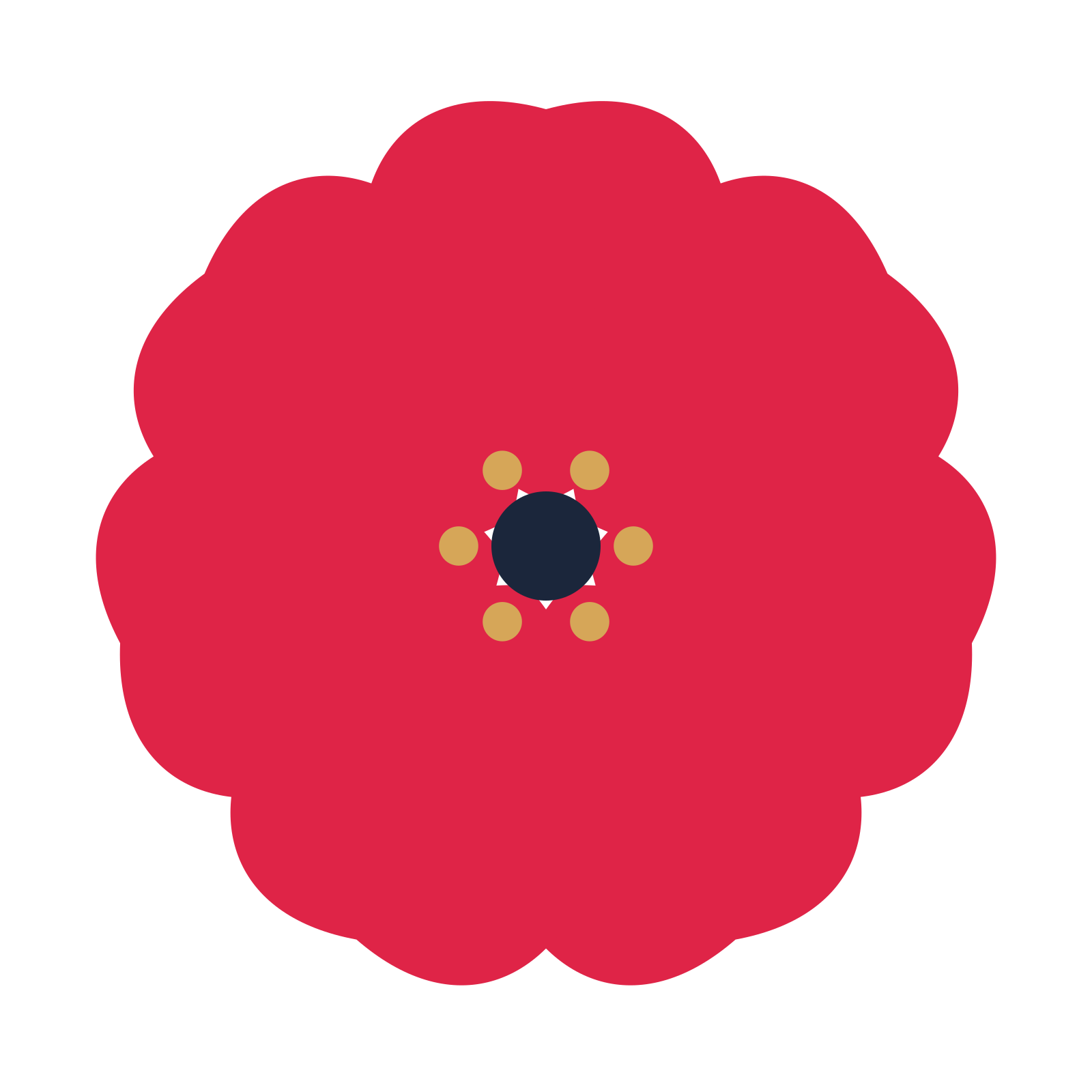 A 7-petal cosmos flower with a stamen centre and a transparent background.