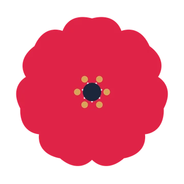 A 7-petal cosmos flower with a stamen centre and a transparent background.