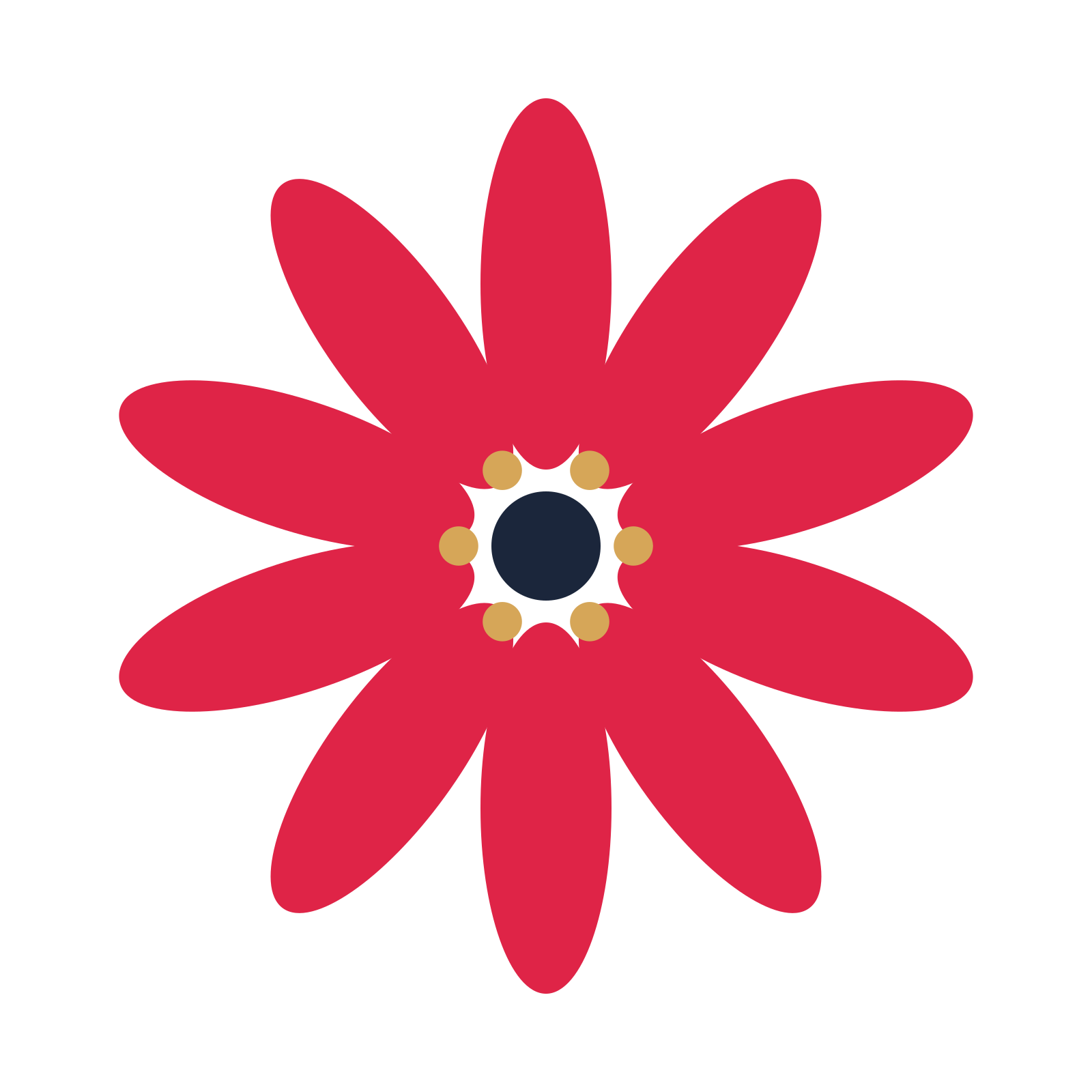 A 10-petal daisy flower with a stamen centre and a transparent background.