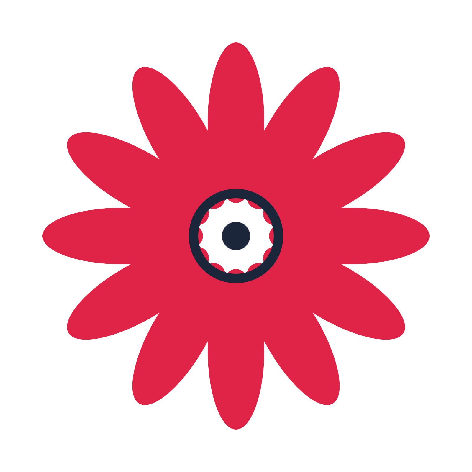 A 12-petal daisy flower with a ring centre and a transparent background.
