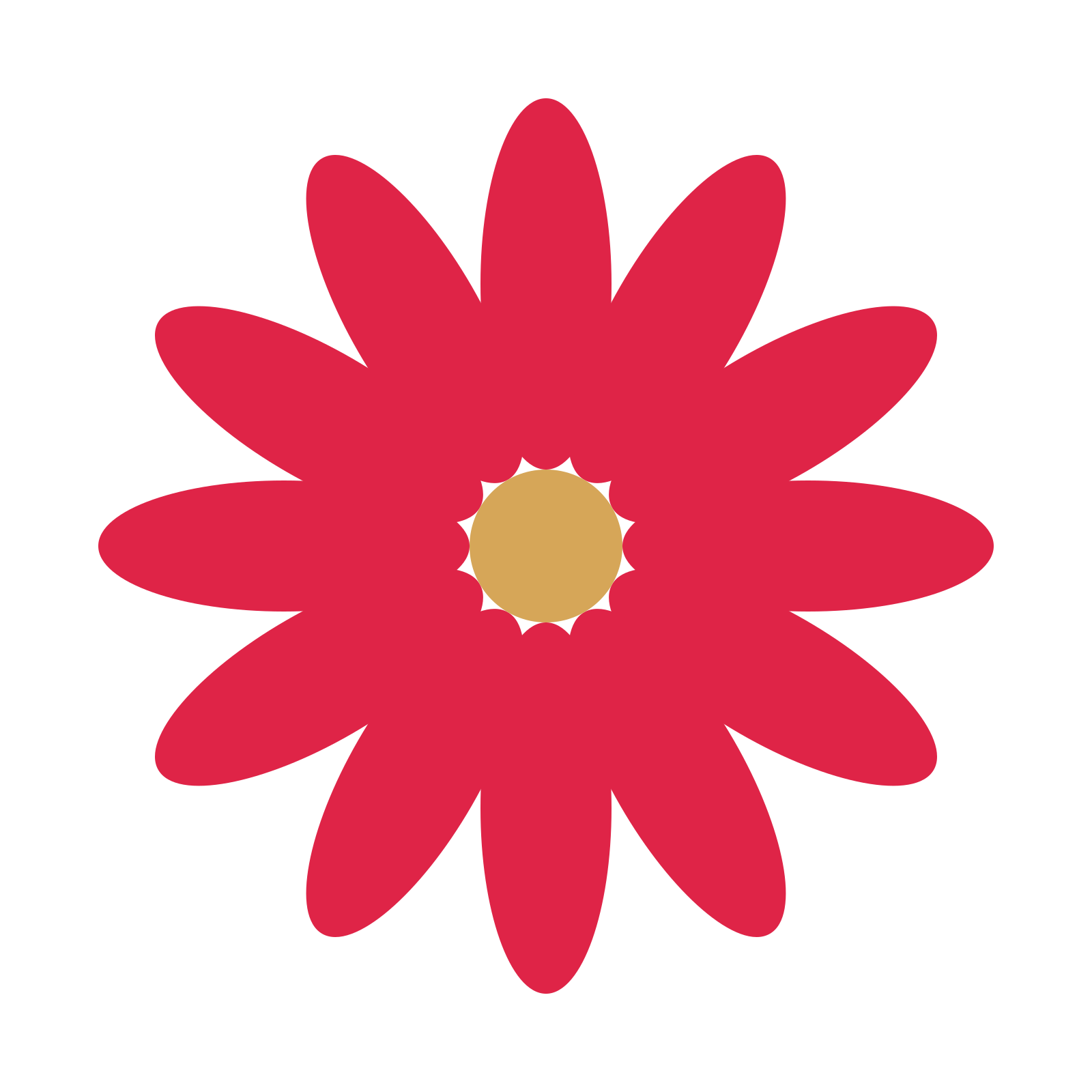 A 12-petal daisy flower with a seed centre and a transparent background.