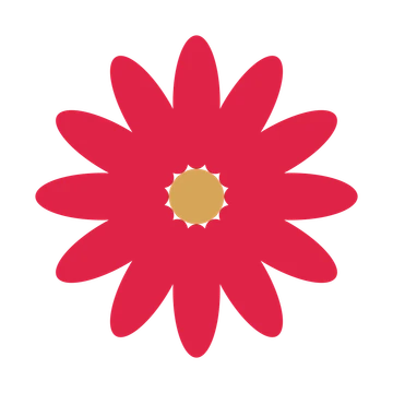 A 12-petal daisy flower with a seed centre and a transparent background.