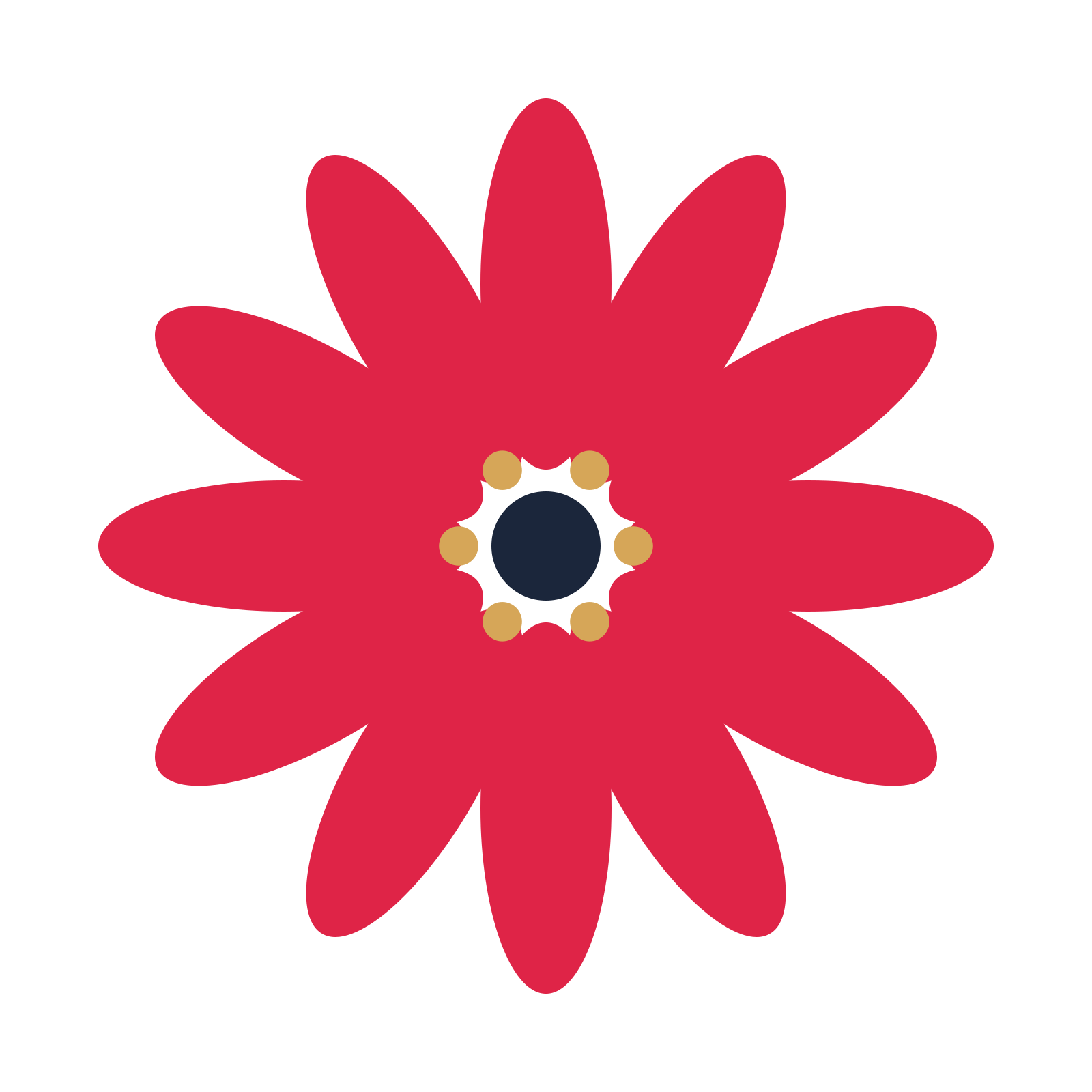A 12-petal daisy flower with a stamen centre and a transparent background.