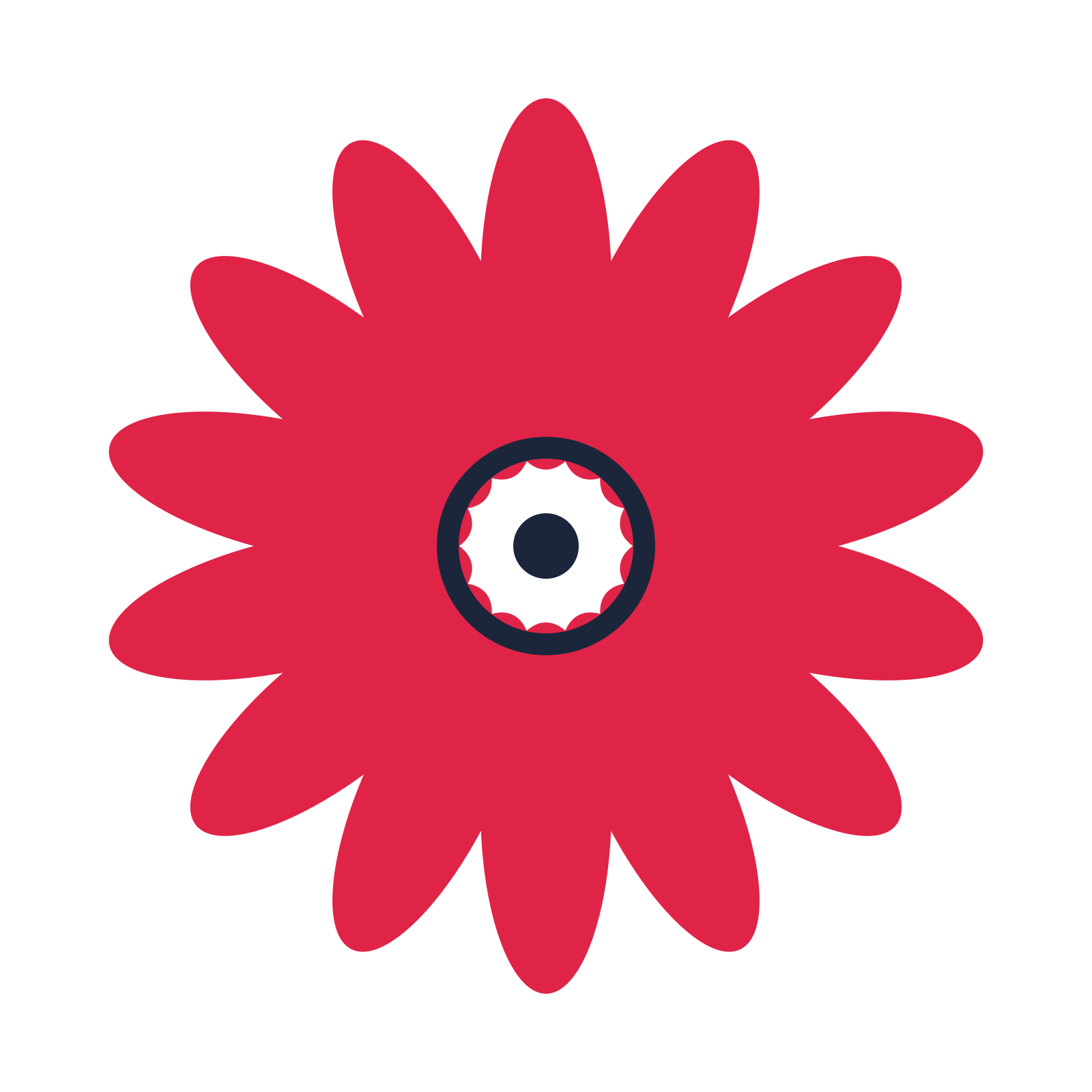 A 14-petal daisy flower with a ring centre and a transparent background.