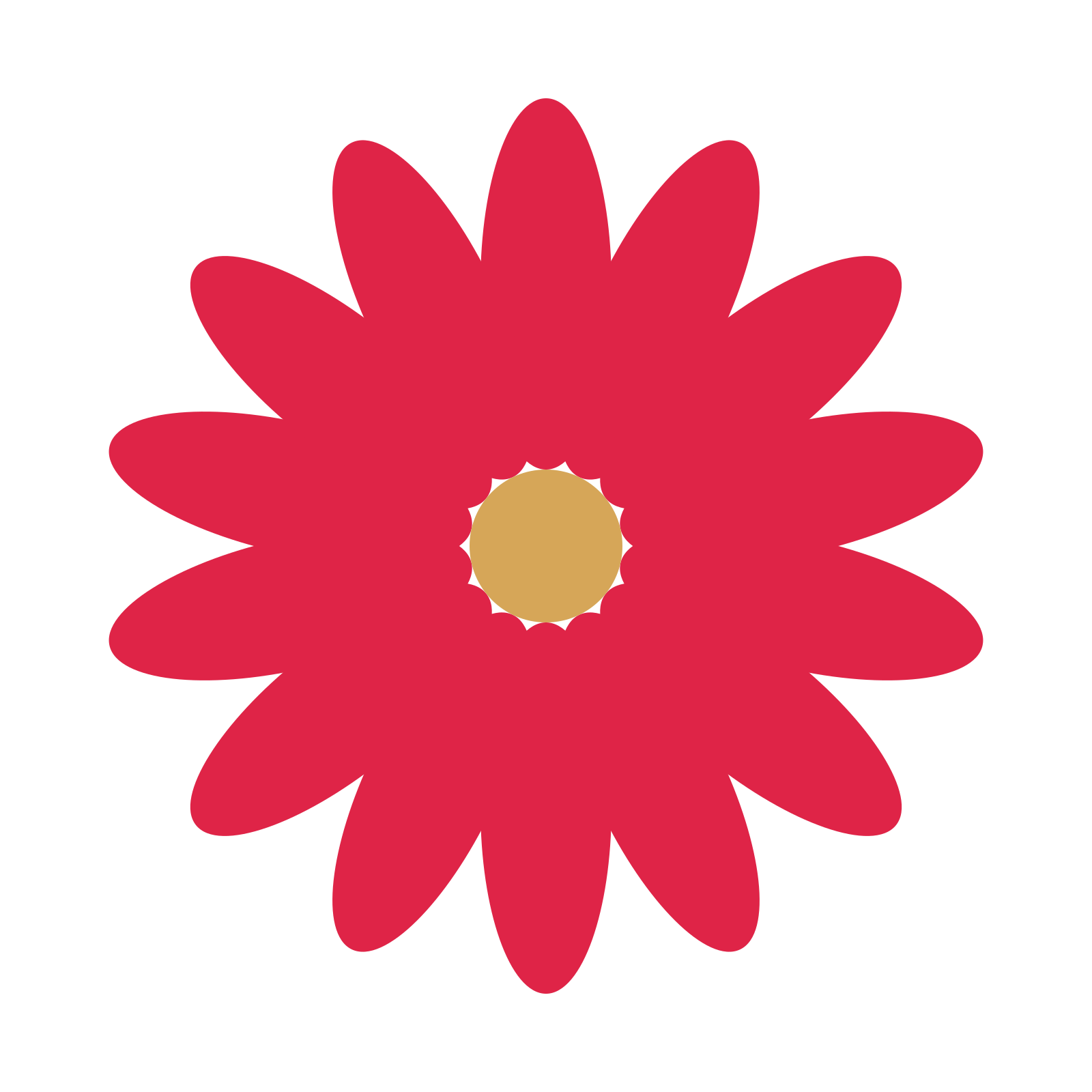 A 14-petal daisy flower with a seed centre and a transparent background.