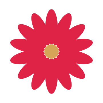 A 14-petal daisy flower with a seed centre and a transparent background.