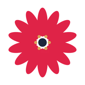 A 14-petal daisy flower with a stamen centre and a transparent background.