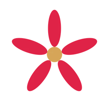 A 5-petal daisy flower with a seed centre and a transparent background.